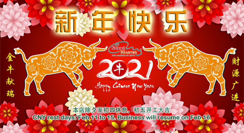 Happy new year in chinese